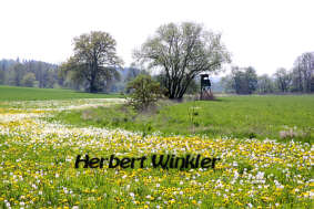 Köferinger Au Herbert Winkler